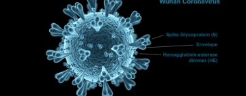 Nuova epidemia da coronavirus ed animali da compagnia: possiamo stare tranquilli?